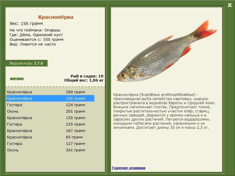 РУССКАЯ РЫБАЛКА Installsoft Edition 