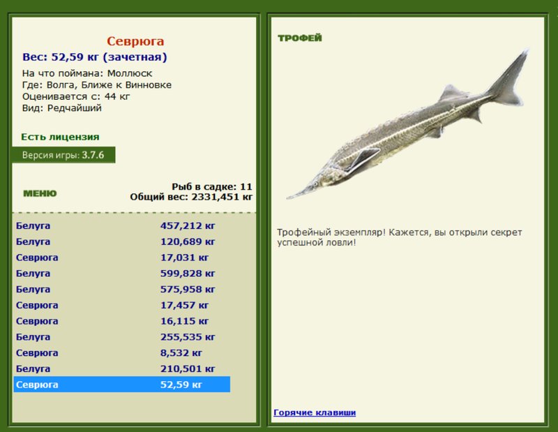 Севрюга 