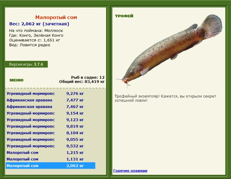 Малоротый сом 