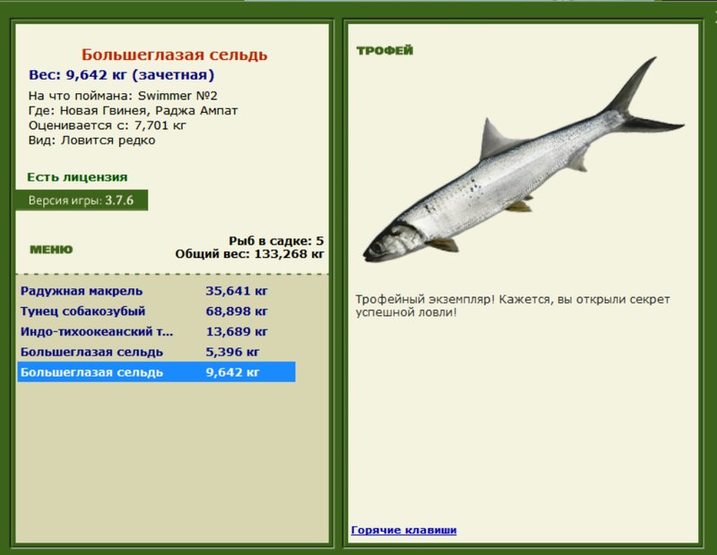 Большеглазая сельдь 