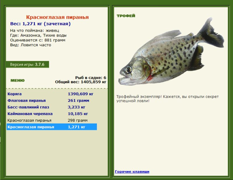 Красноглазая пиранья 