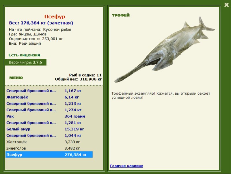 Псефур 