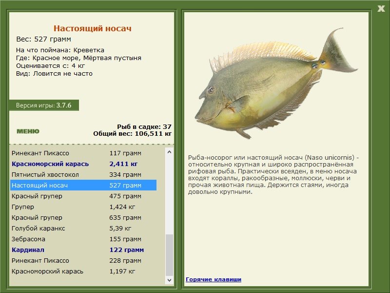 турниры • РУССКАЯ РЫБАЛКА