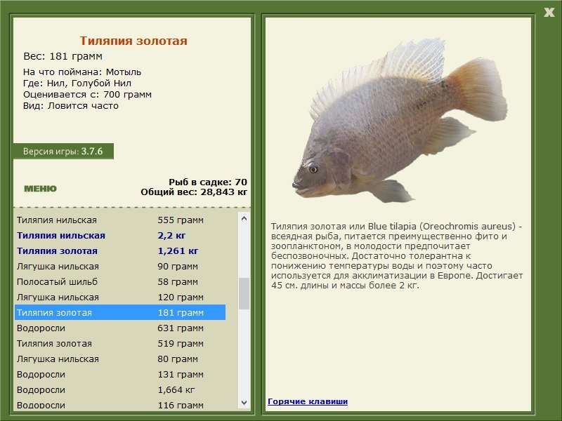 РУССКАЯ РЫБАЛКА Installsoft Edition 