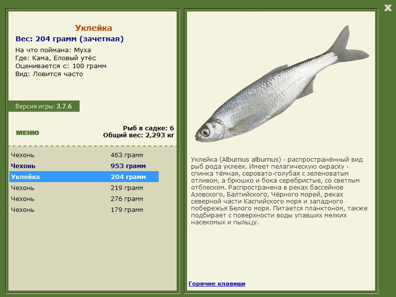Уклейка 