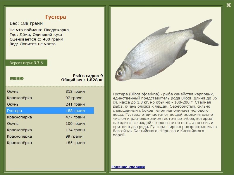 турниры • РУССКАЯ РЫБАЛКА