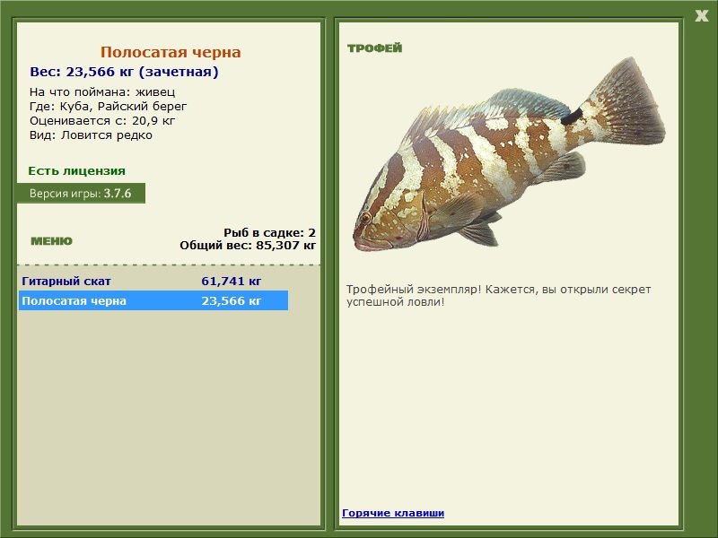 Райский берег 