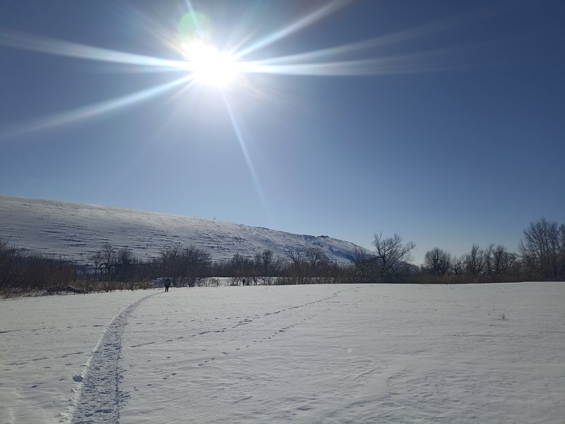  Страница 121 - Форум 