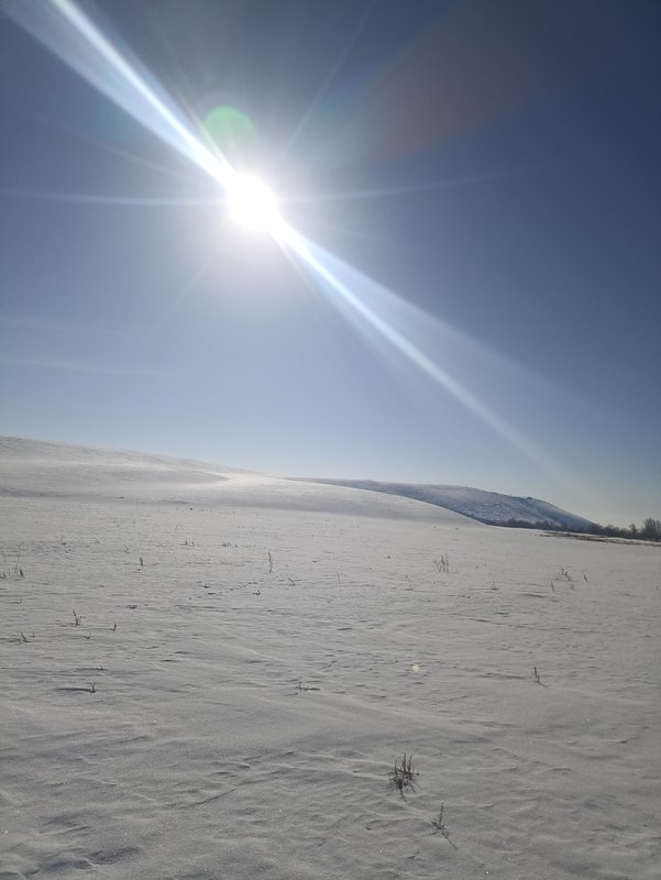  Страница 121 - Форум 