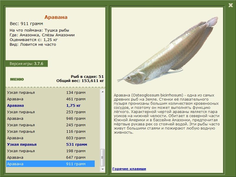 Слёзы Амазонии 