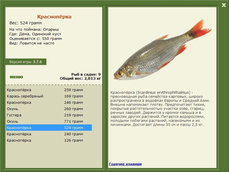 РУССКАЯ РЫБАЛКА Installsoft Edition 