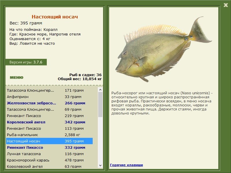турниры • РУССКАЯ РЫБАЛКА