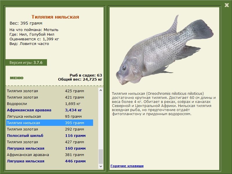 турниры • РУССКАЯ РЫБАЛКА