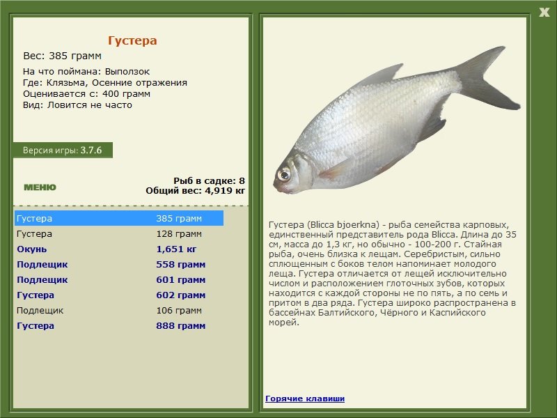 РУССКАЯ РЫБАЛКА Installsoft Edition 