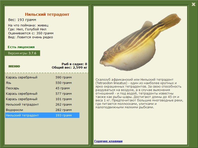 турниры • РУССКАЯ РЫБАЛКА