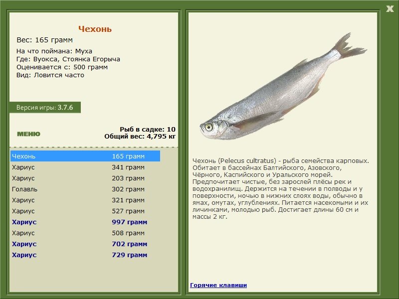 турниры • РУССКАЯ РЫБАЛКА
