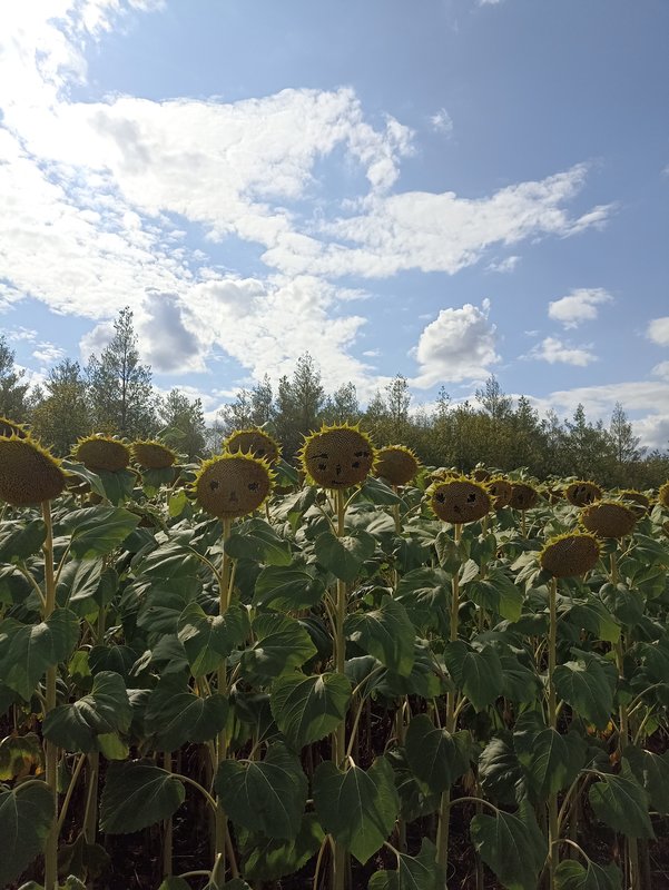  Страница 39 - Форум 