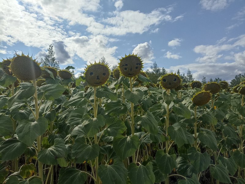  Страница 39 - Форум 