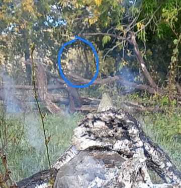  Страница 40 - Форум 