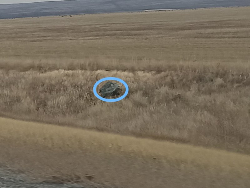  Страница 40 - Форум 