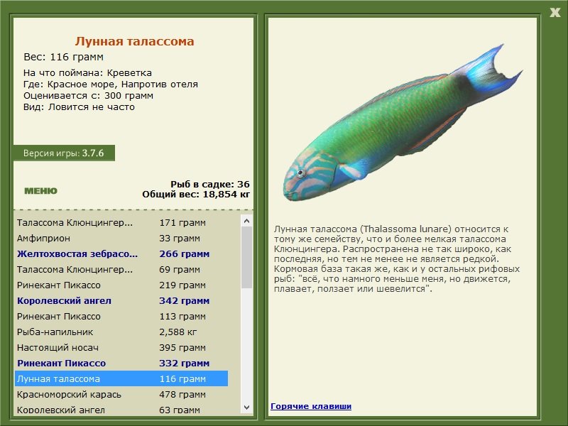 турниры • РУССКАЯ РЫБАЛКА