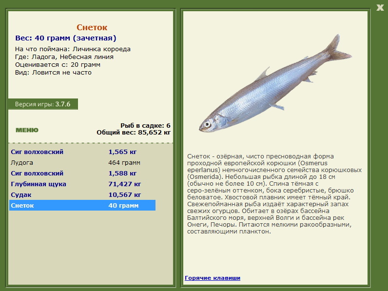 Снеток 