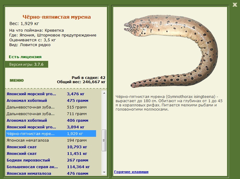 турниры • РУССКАЯ РЫБАЛКА