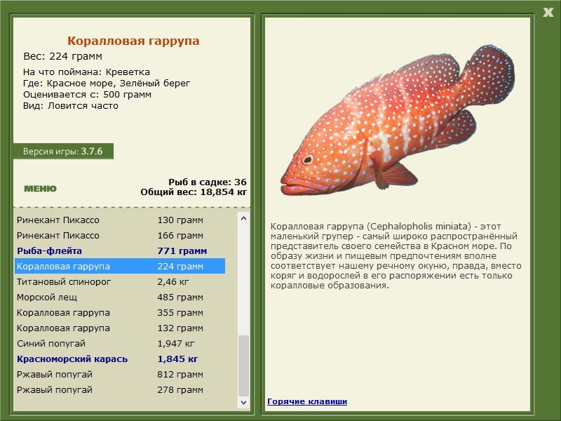 турниры • РУССКАЯ РЫБАЛКА