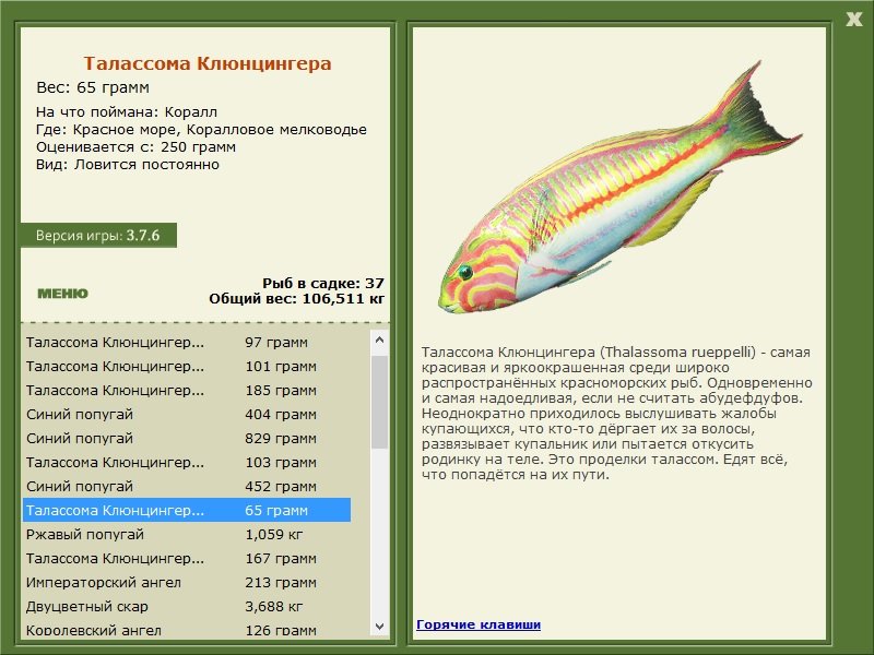 турниры • РУССКАЯ РЫБАЛКА