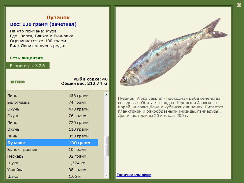 Пузанок 