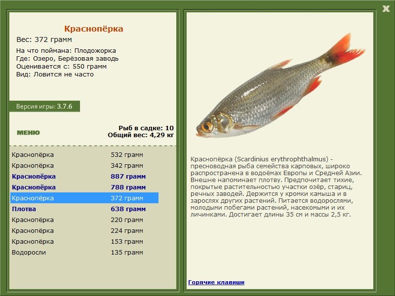 турниры • РУССКАЯ РЫБАЛКА