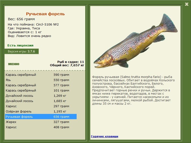 турниры • РУССКАЯ РЫБАЛКА