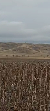  Страница 41 - Форум 