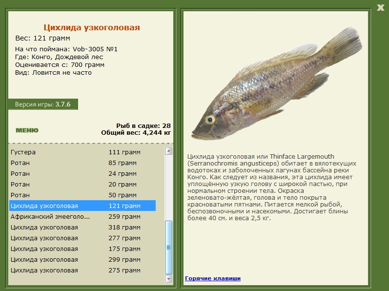 турниры • РУССКАЯ РЫБАЛКА
