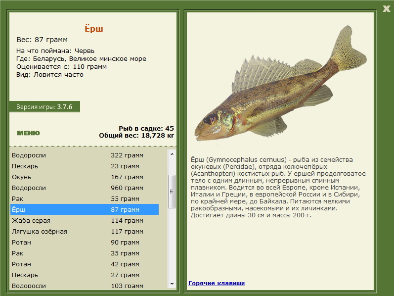 Великое минское море 