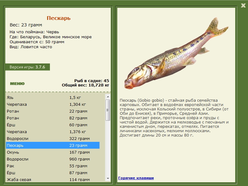Великое минское море 
