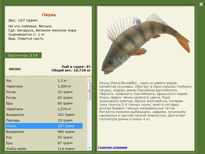 Великое минское море 