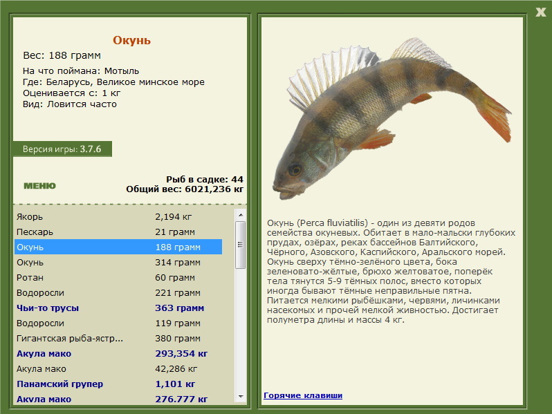 Великое минское море 