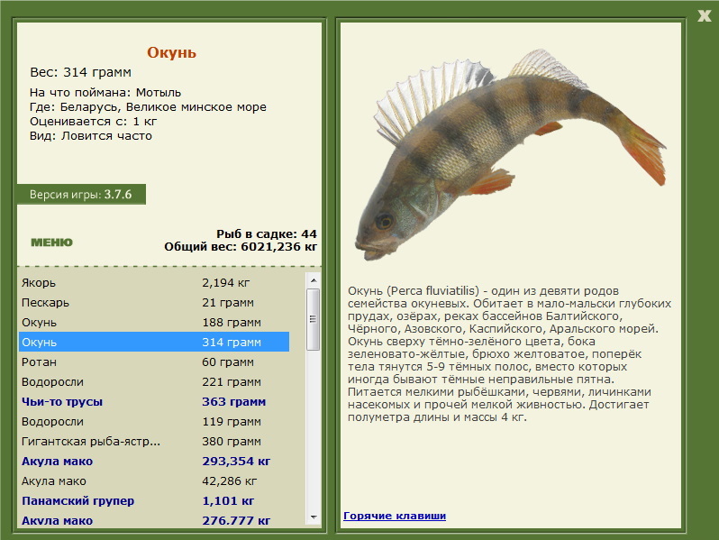 Великое минское море 