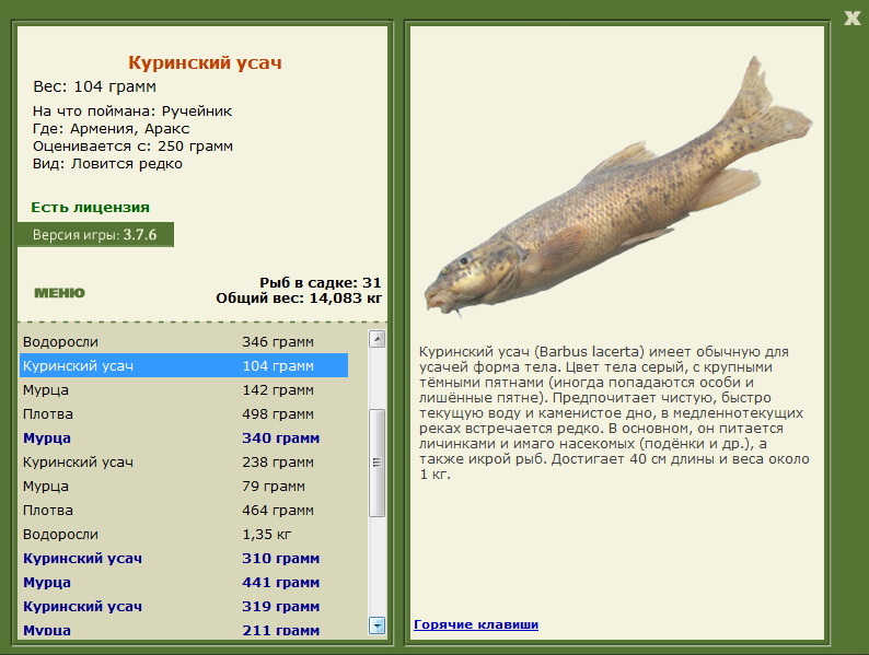 турниры • РУССКАЯ РЫБАЛКА