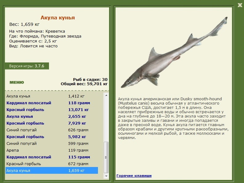 турниры • РУССКАЯ РЫБАЛКА