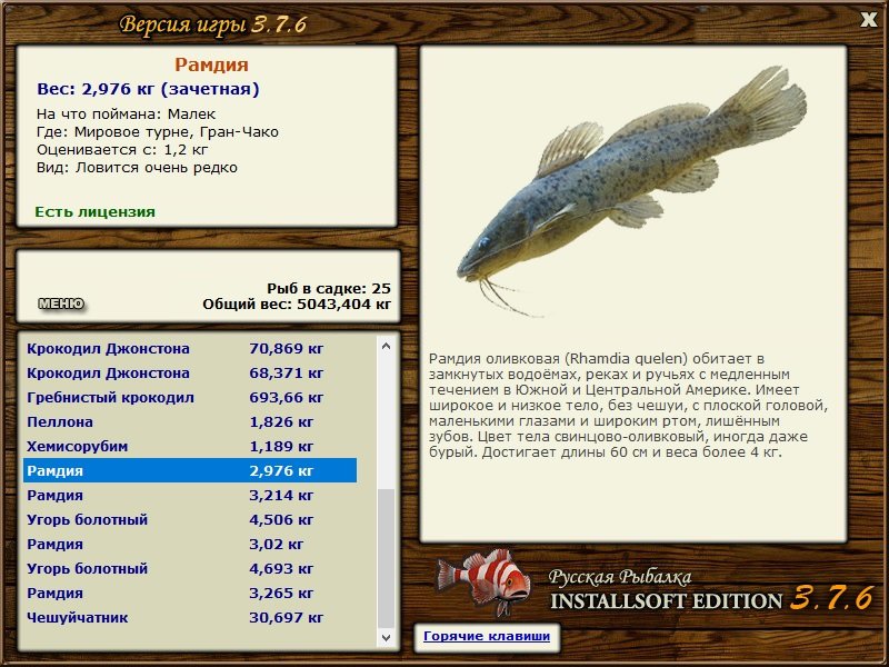 турниры • РУССКАЯ РЫБАЛКА