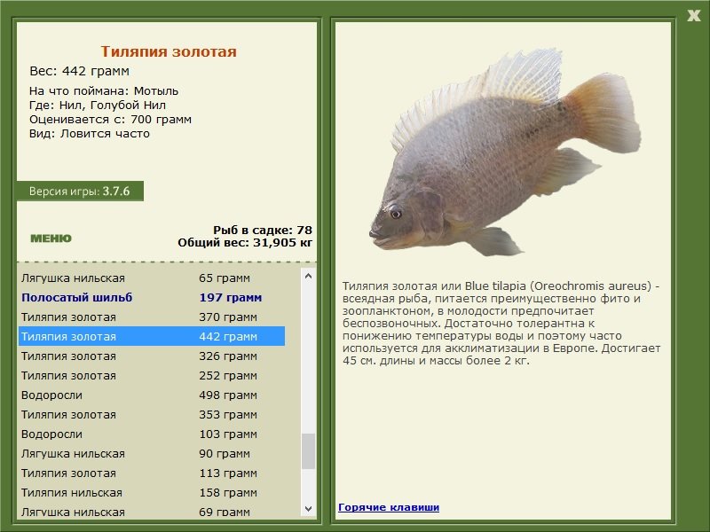 турниры • РУССКАЯ РЫБАЛКА