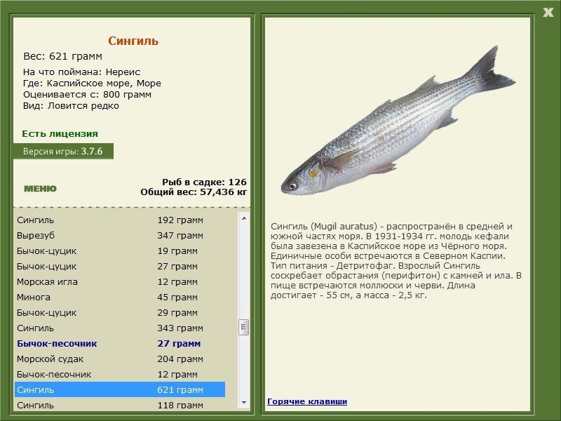 Море 