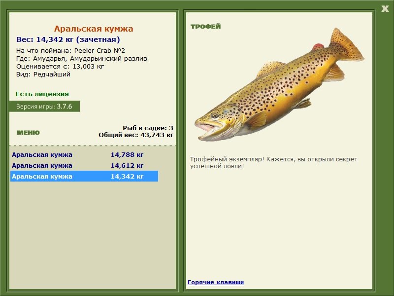 Аральская кумжа 