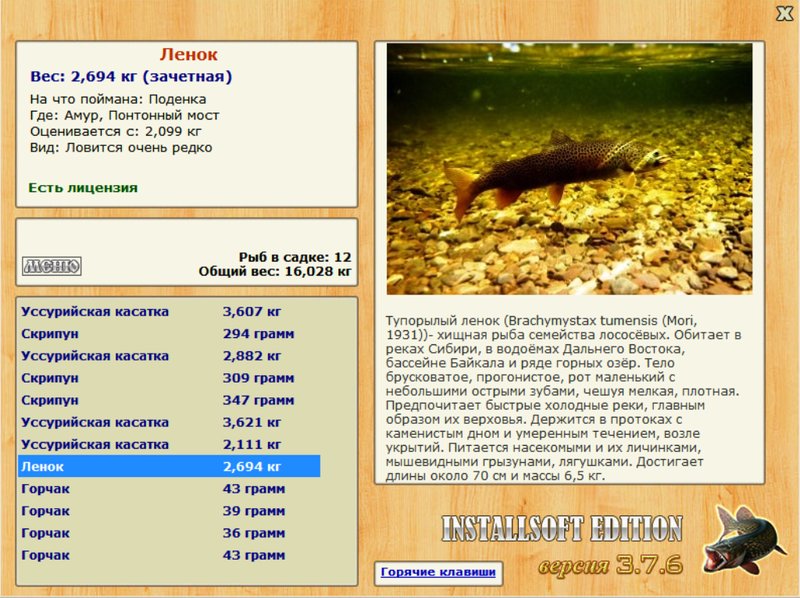Амур 