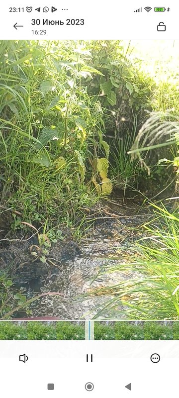  Страница 41 - Форум 