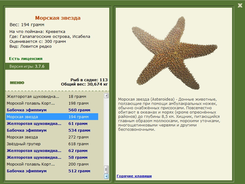 турниры • РУССКАЯ РЫБАЛКА