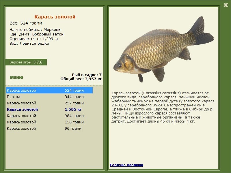 турниры • РУССКАЯ РЫБАЛКА
