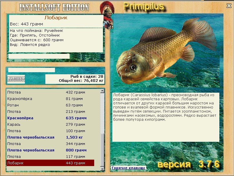 турниры • РУССКАЯ РЫБАЛКА